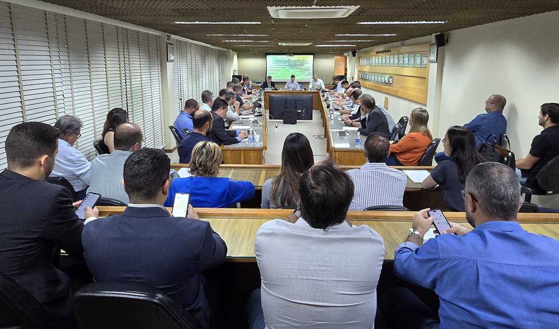 Em reunião no Sinduscon-DF, Neoenergia promete combate a ligações em áreas ilegais