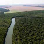 Lei de licenciamento ambiental é boa? Consultor de ONG e presidente de câmara industrial comentam