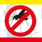 Entidades do DF lançam campanha de prevenção contra a dengue