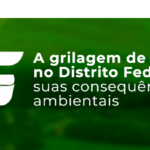 Sinduscon-DF debaterá as consequências ambientais da grilagem de terras no Distrito Federal